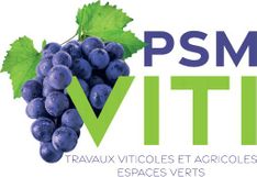 PSM VITI_logo