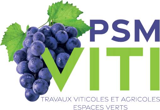 PSM VITI_logo